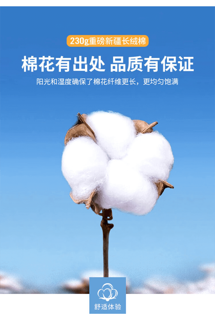 测试商品 拍下不发